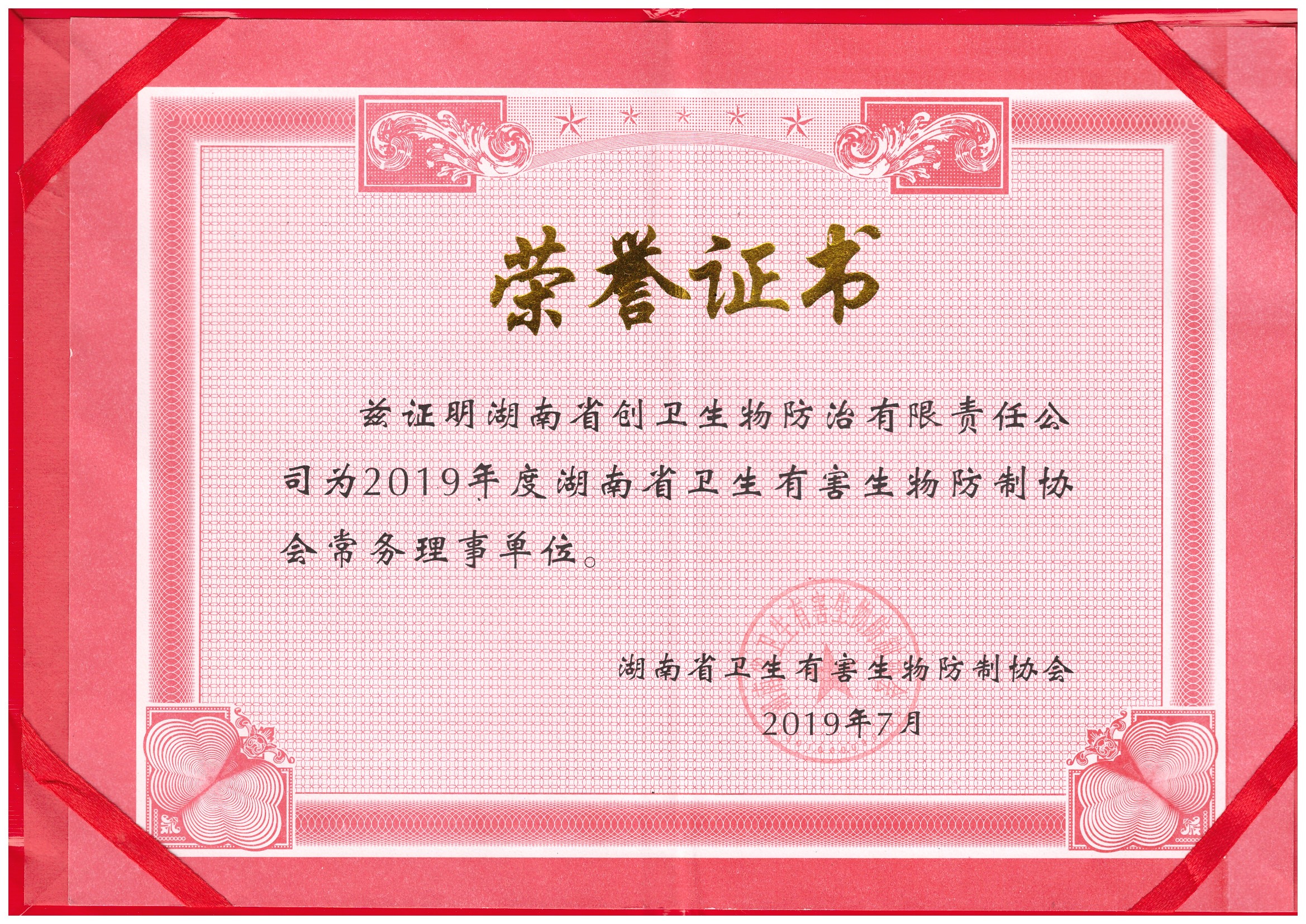 省协会常务理事单位荣誉证书